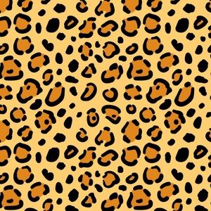 Meet your Posher, Caidyn